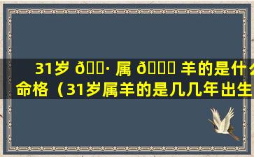 31岁 🌷 属 🐞 羊的是什么命格（31岁属羊的是几几年出生的）
